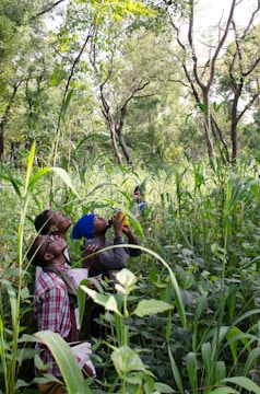A team conducting an environmental impact assessment in a lush green forest.