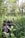 A group of travelers observing wildlife in a lush green landscape.