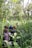 A group of travelers observing wildlife in a lush green landscape.