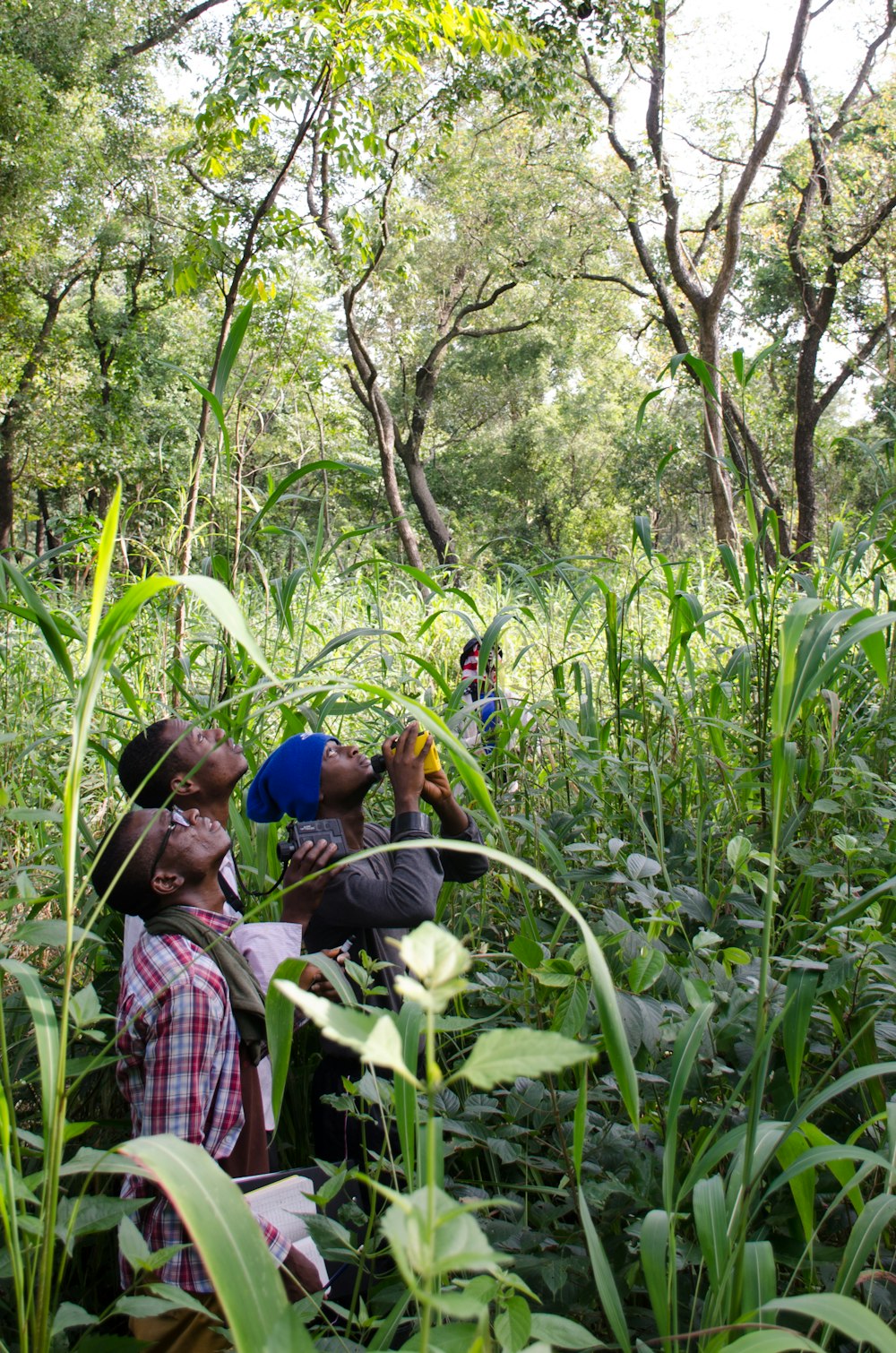 a group of people standing in a lush green forest