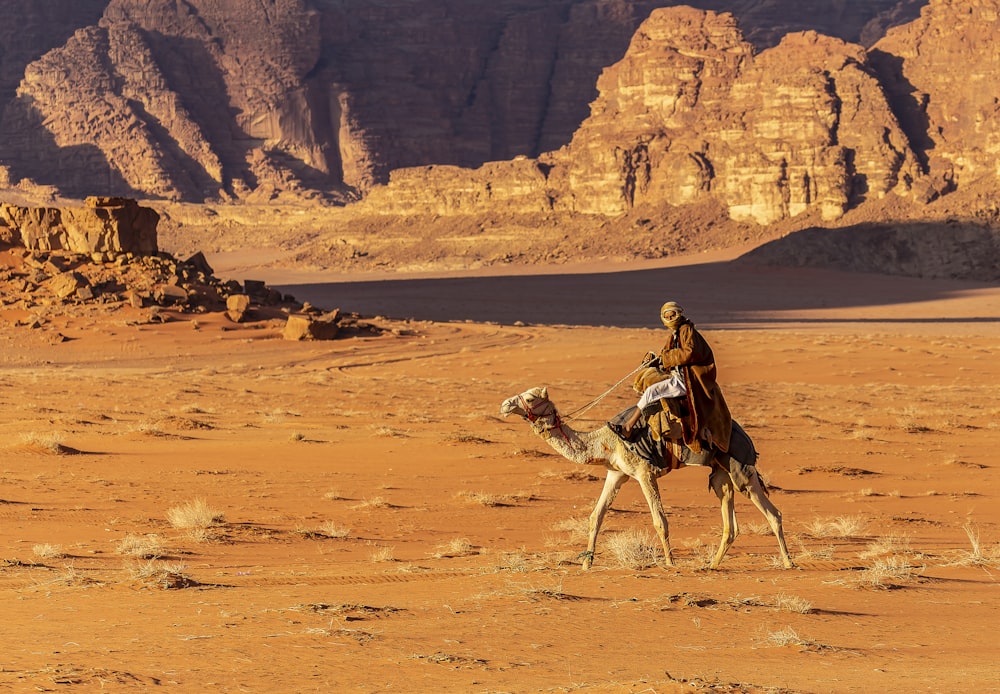 a man riding a camel in the desert