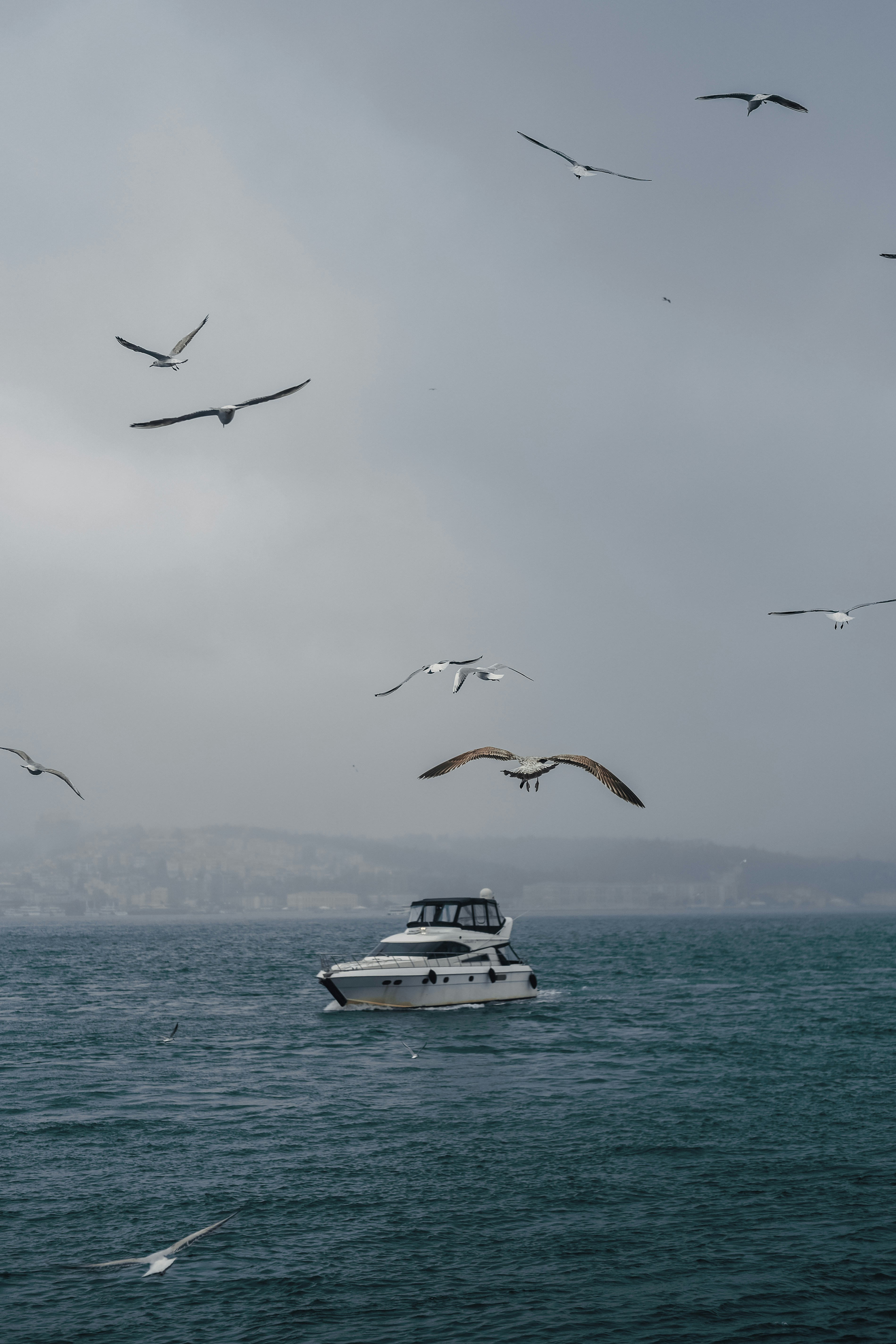 Photo by sserhattug