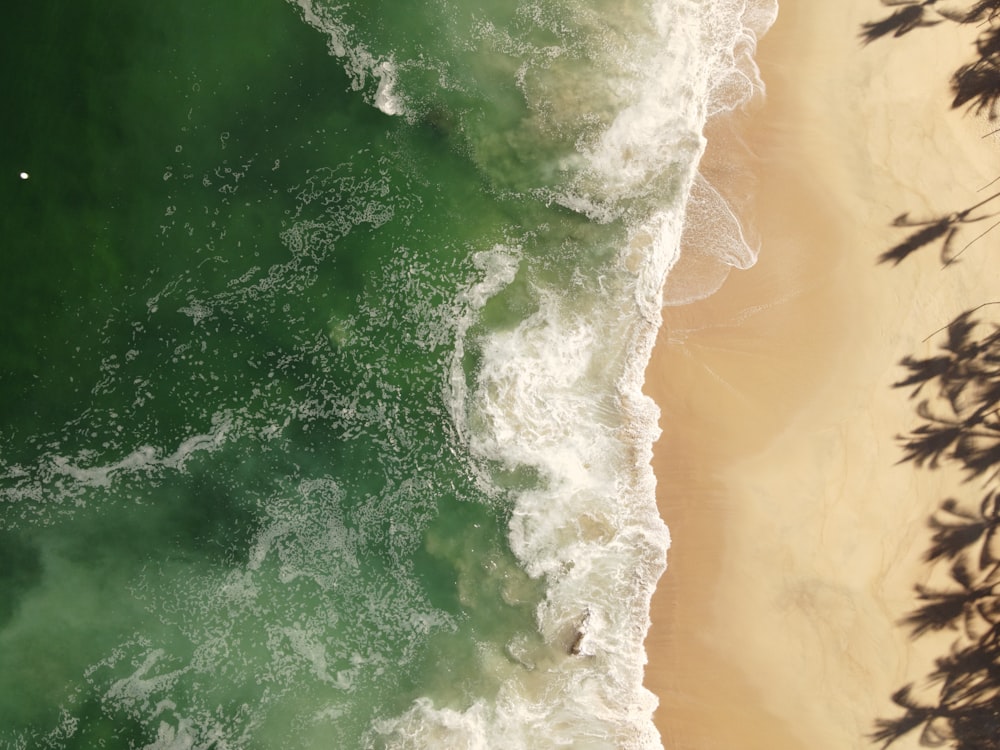 an aerial view of a beach and ocean