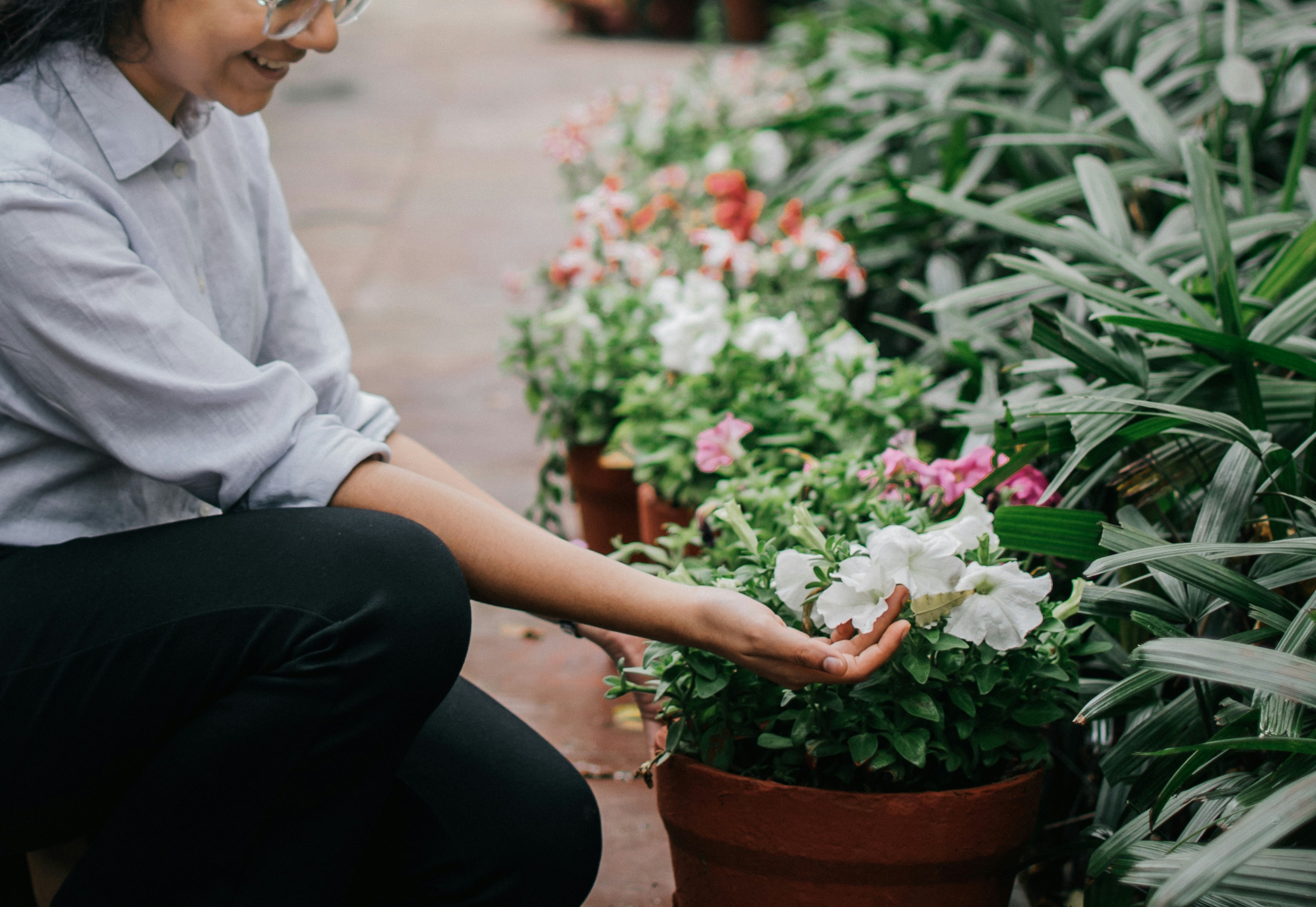 Photo by pramodtiwari