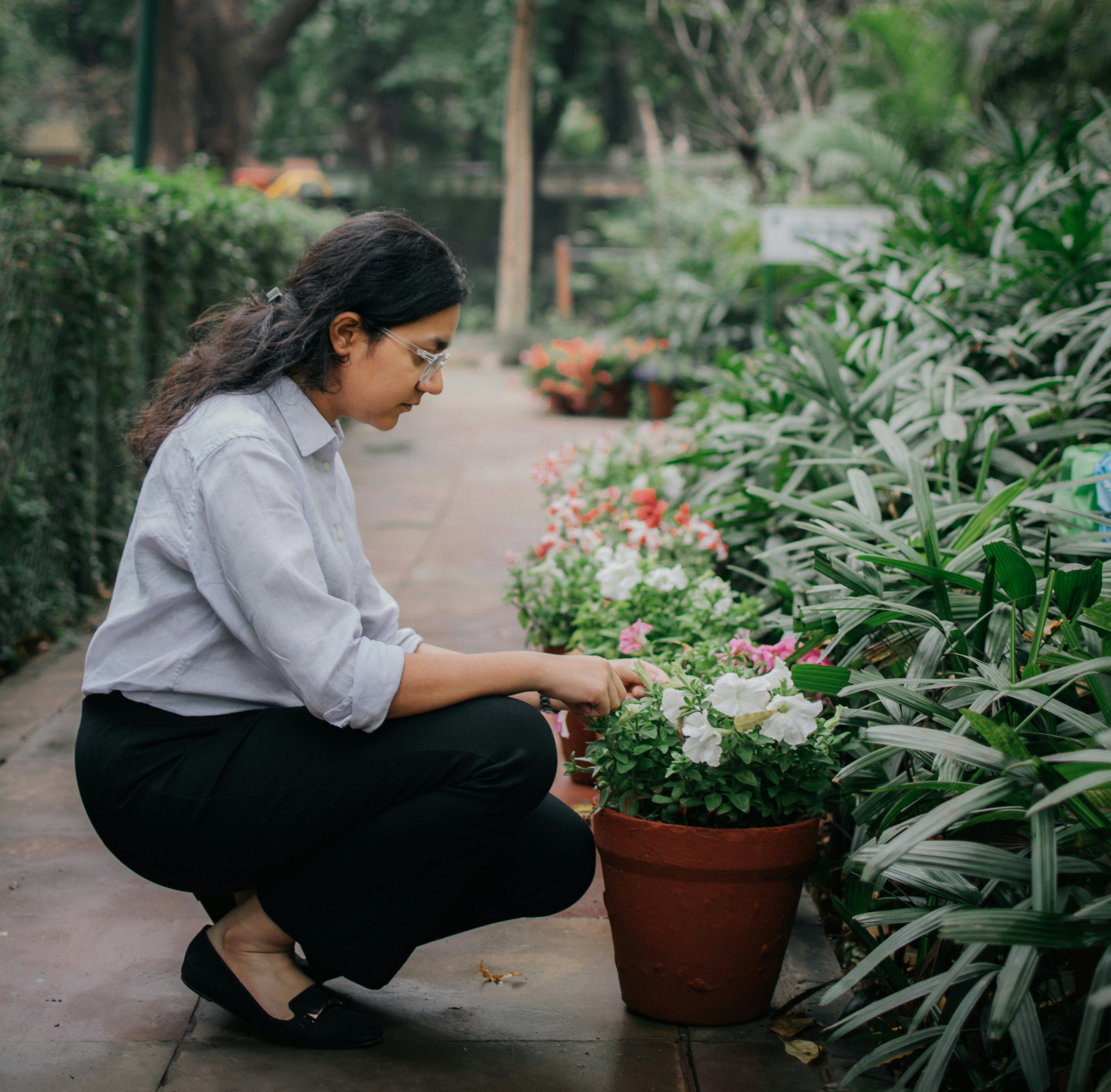 Photo by pramodtiwari