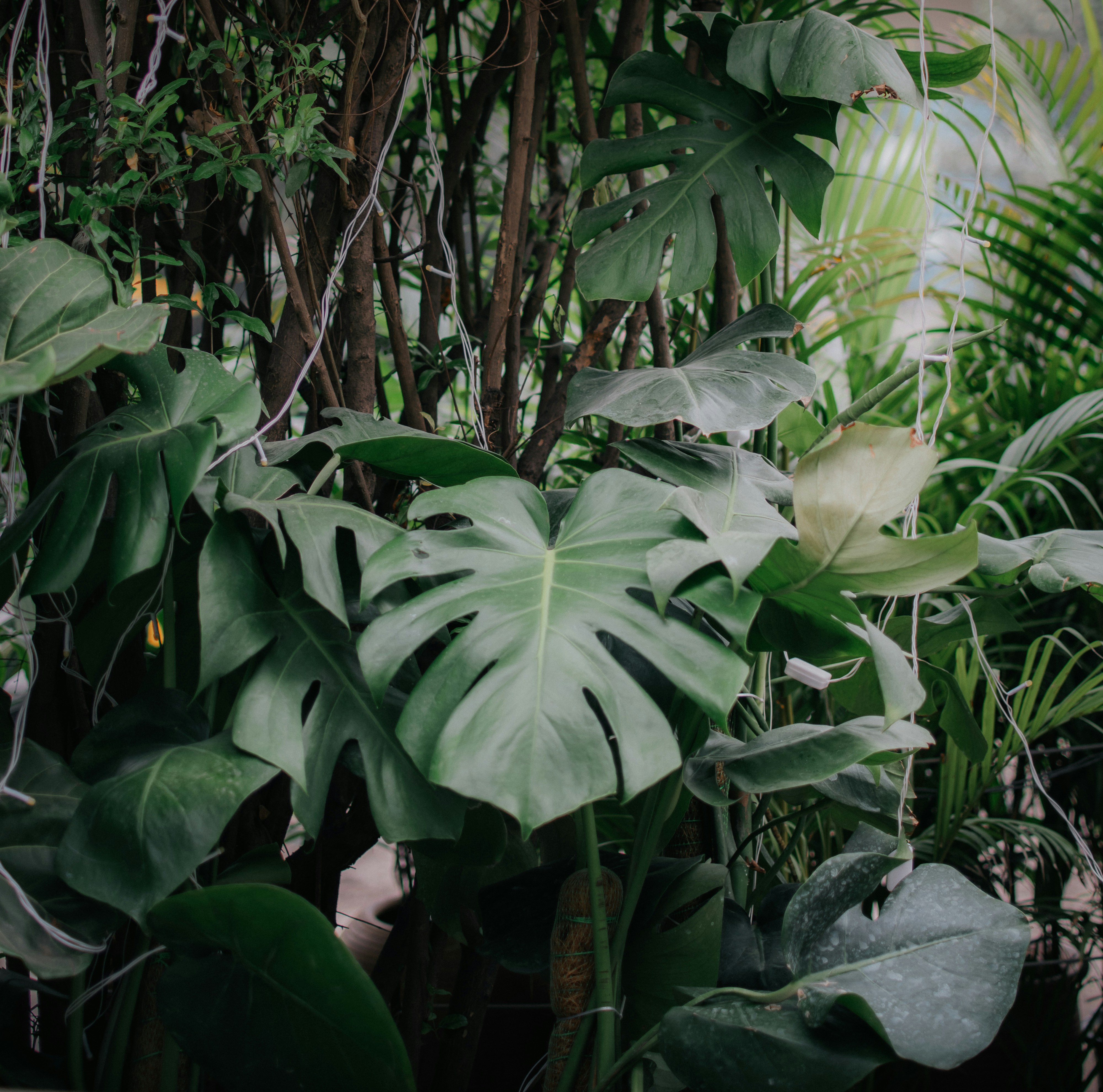 Photo by pramodtiwari