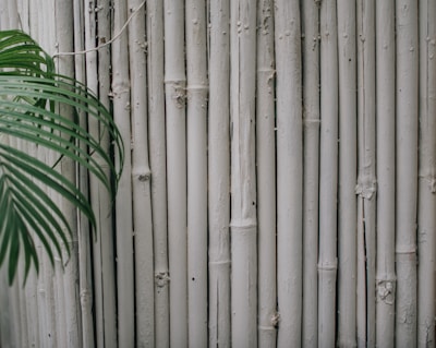A textured wall of vertical beige bamboo stalks is accompanied by lush green palm leaves extending from the left side. The surface of the bamboo is slightly rough, with natural variations and some nodes visible. The composition creates a natural and calming aesthetic.