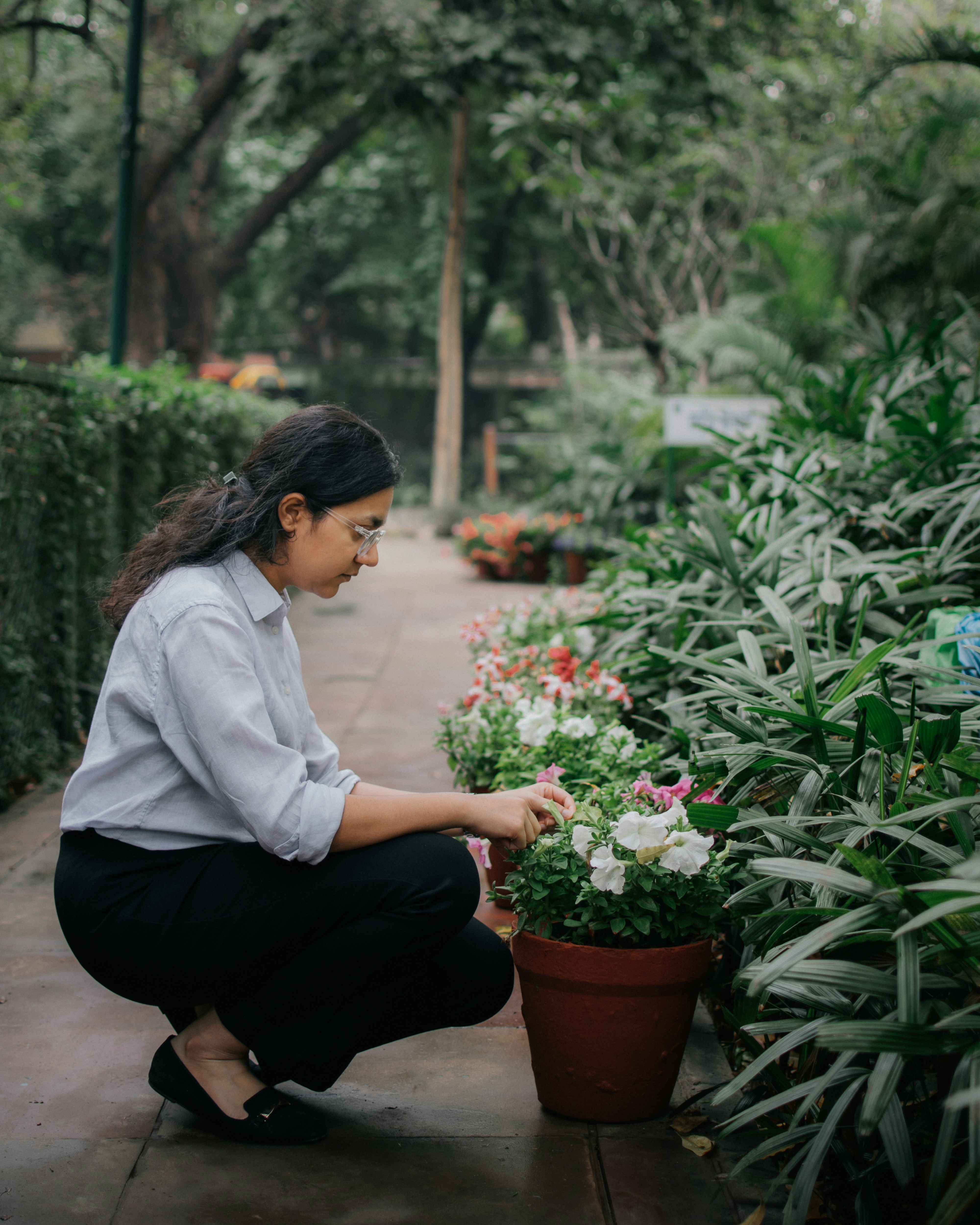 Guia Prático de Jardinagem