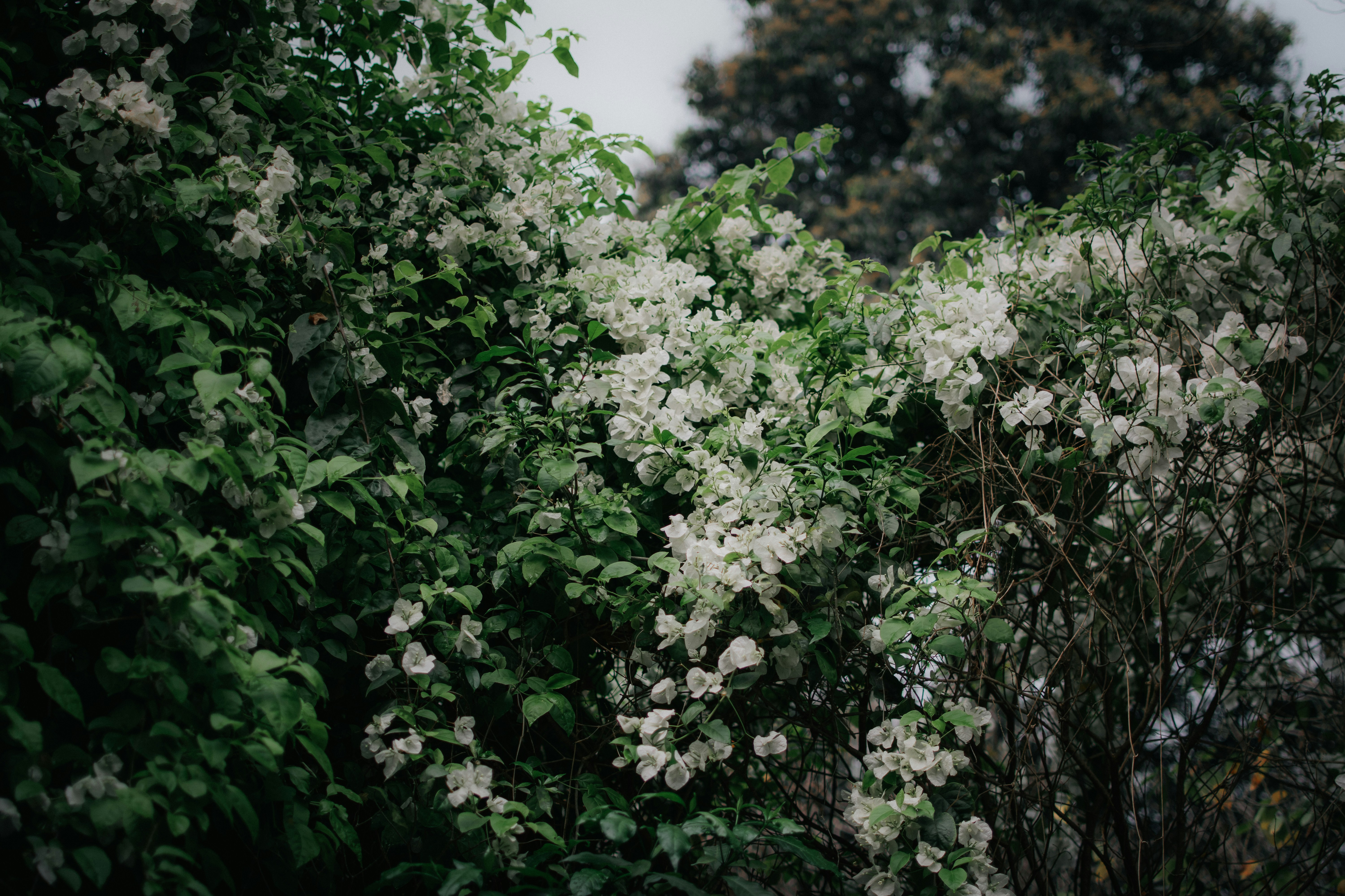 Photo by pramodtiwari