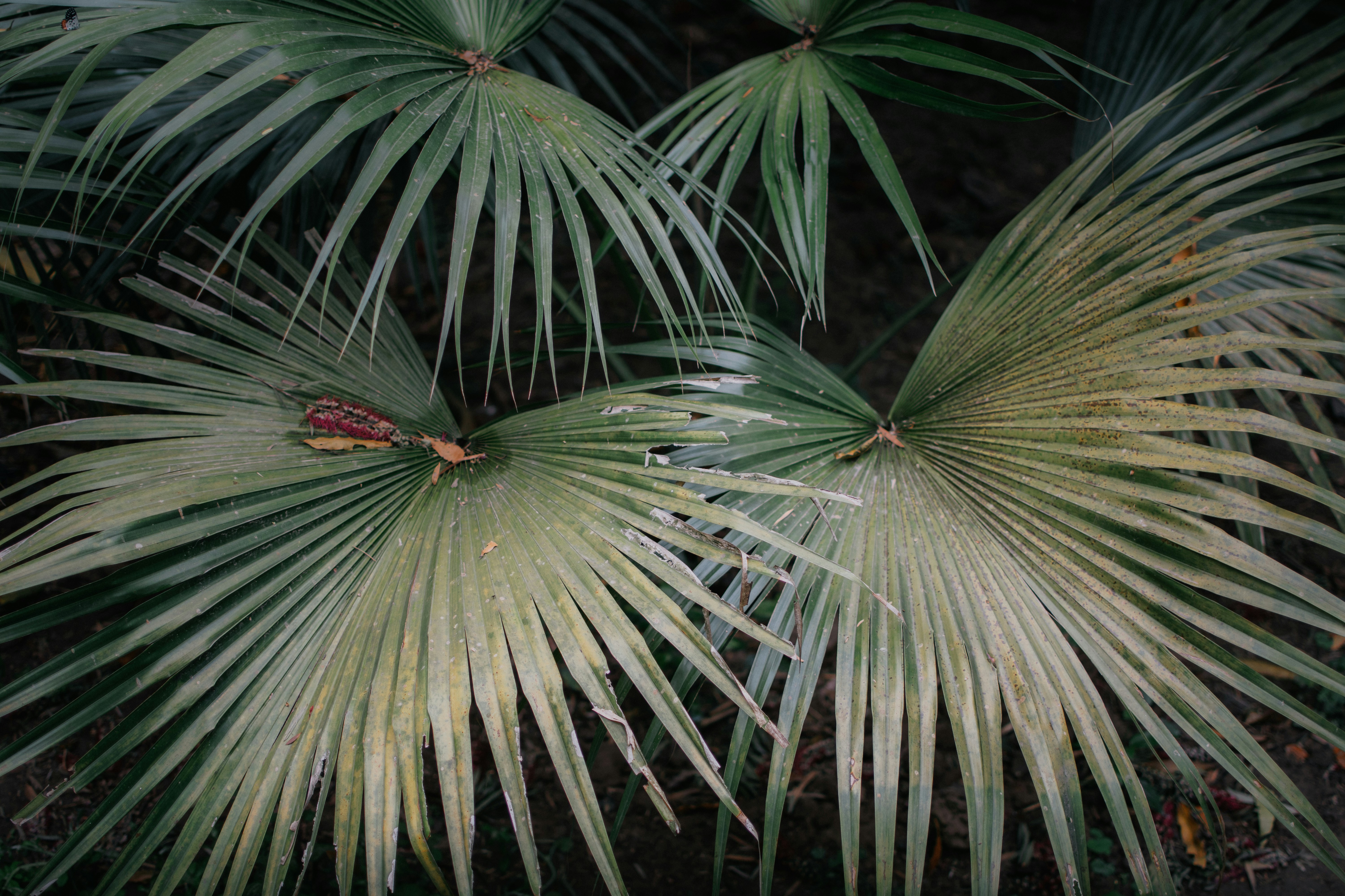 Photo by pramodtiwari