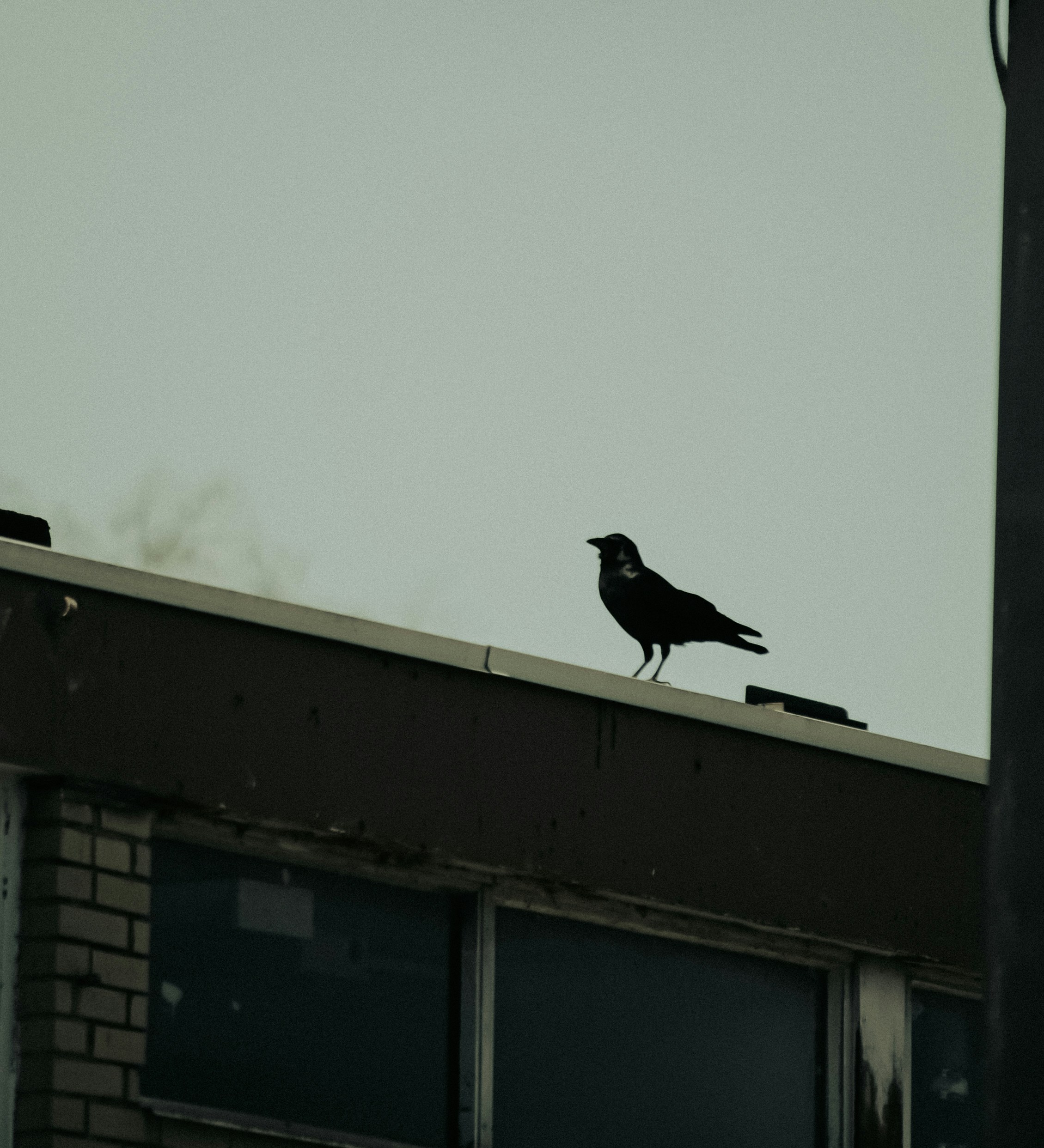 Photo by linusbelanger