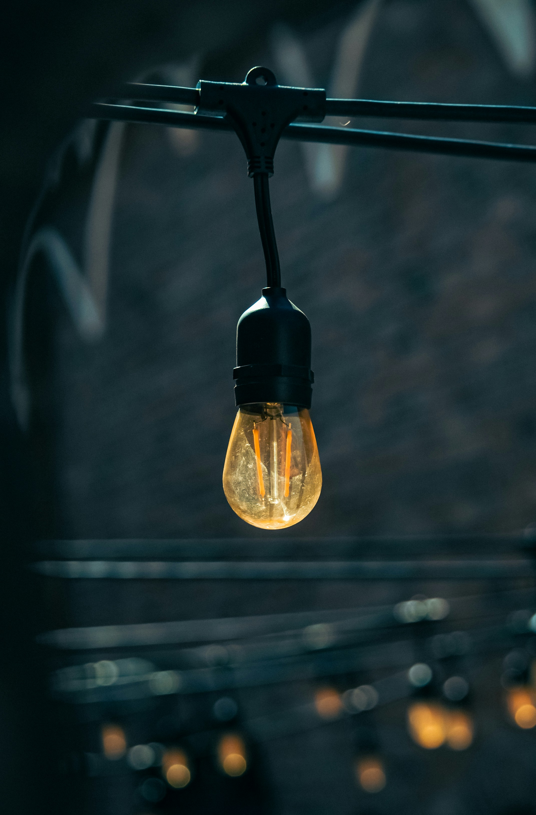 Photo by linusbelanger