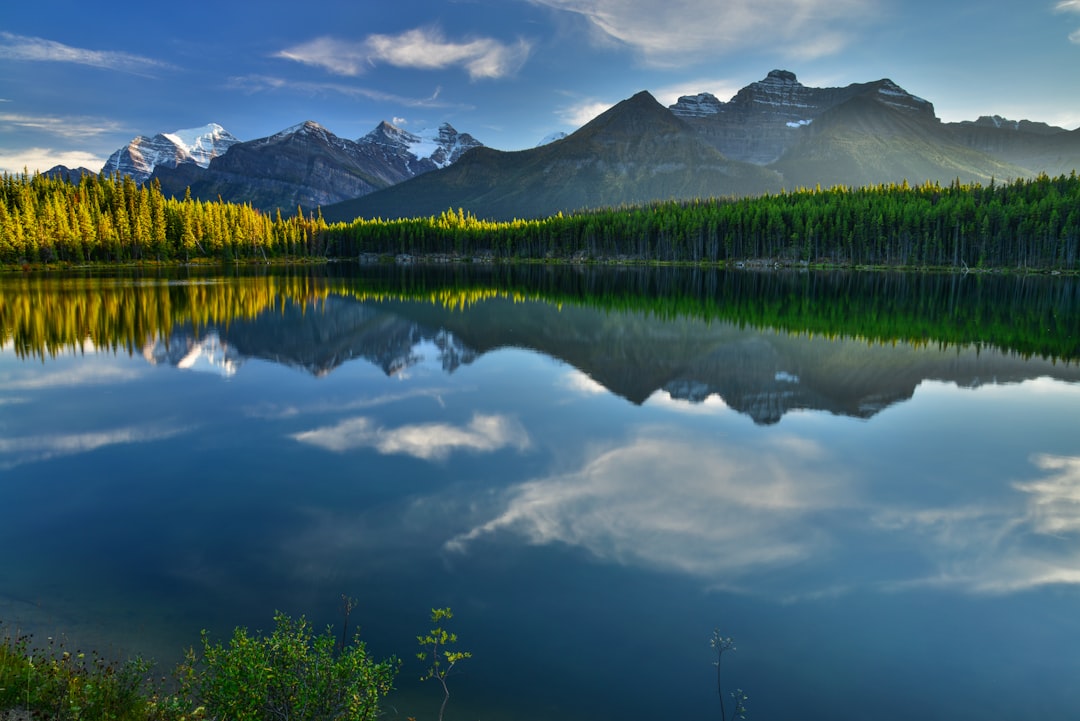 a lake surrounded by mountains and trees under a blue sky, Herbert lake in Banff national park Canadian Rockies