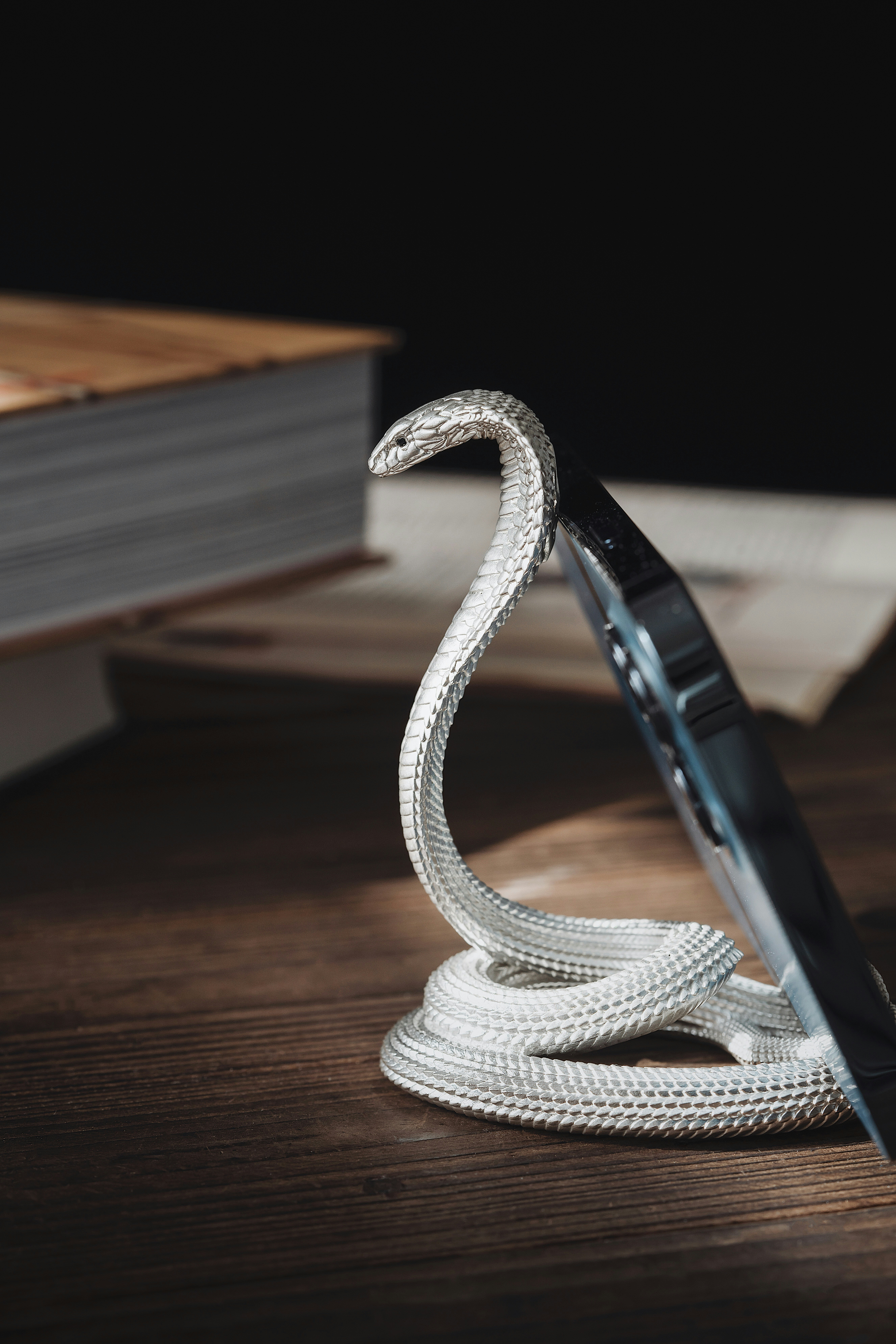 Photo by coppertistwu