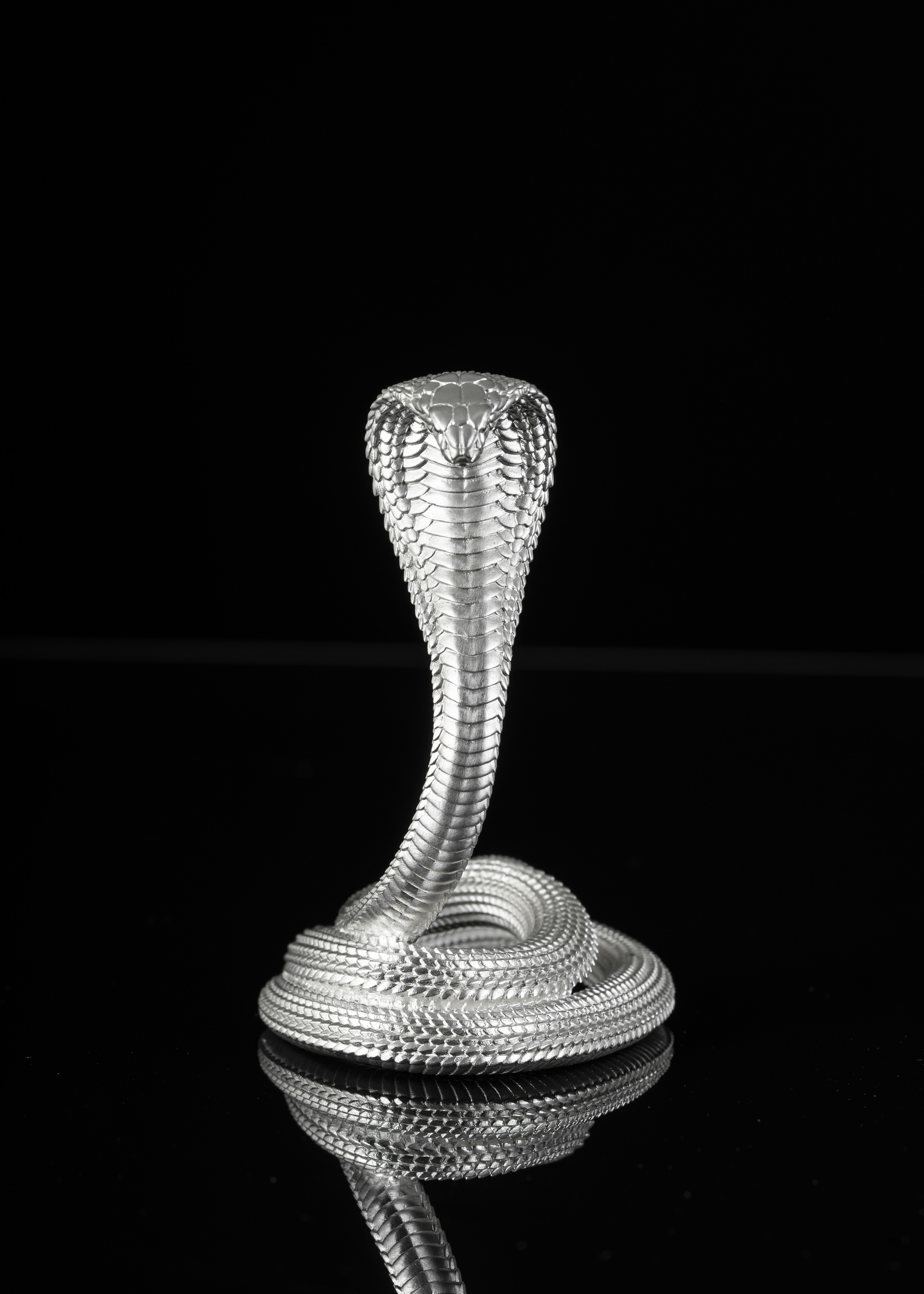 Photo by coppertistwu