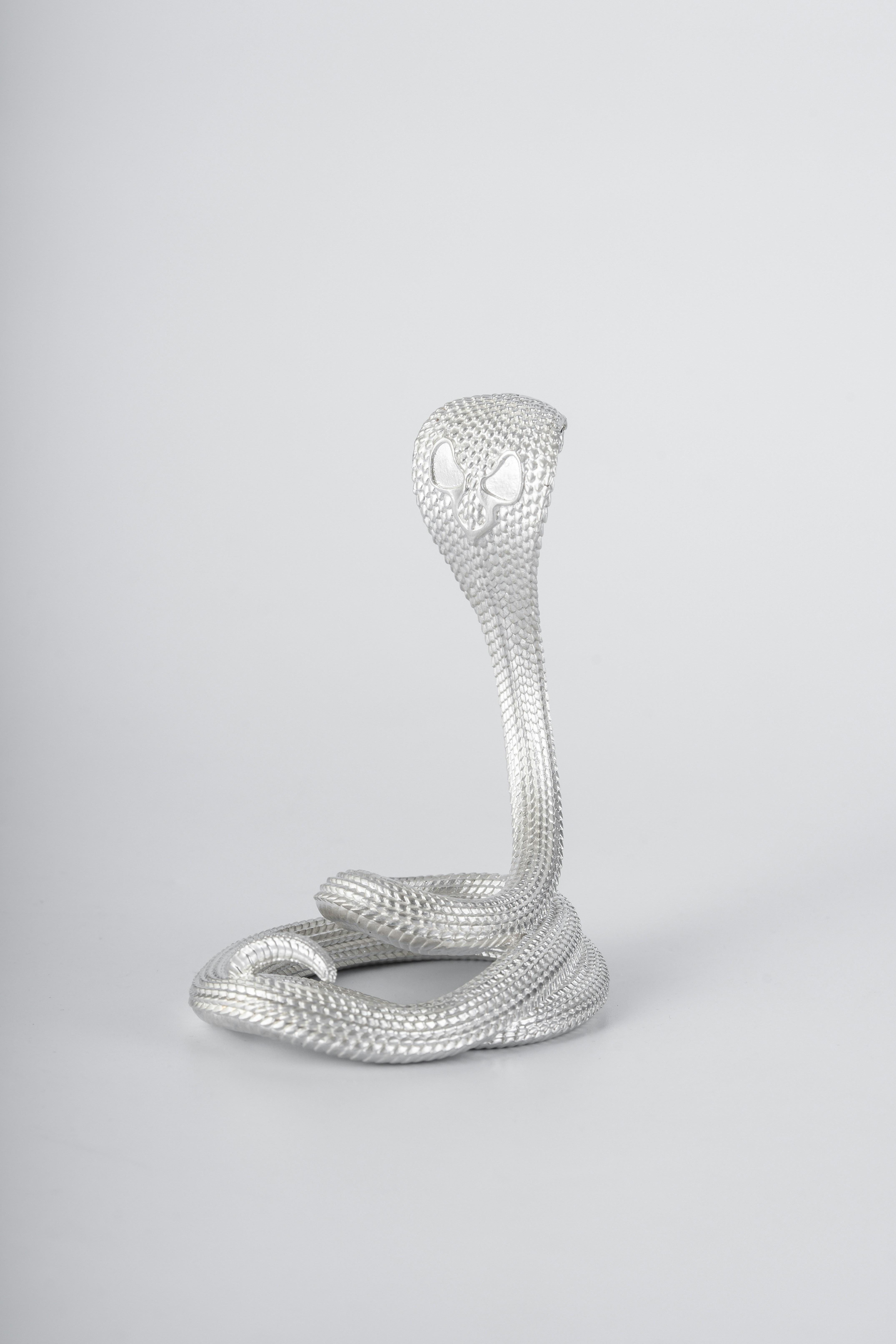 Photo by coppertistwu