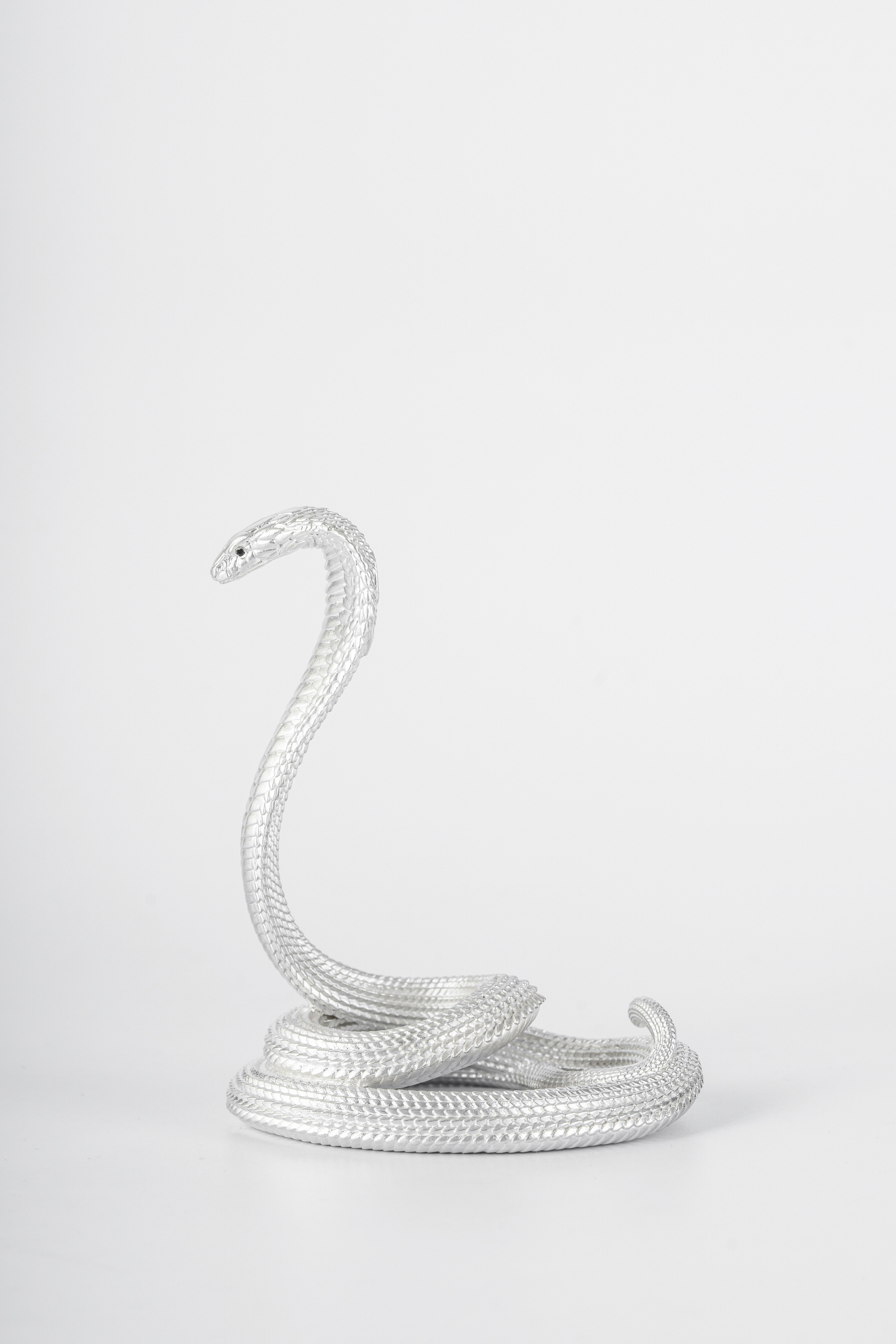 Photo by coppertistwu