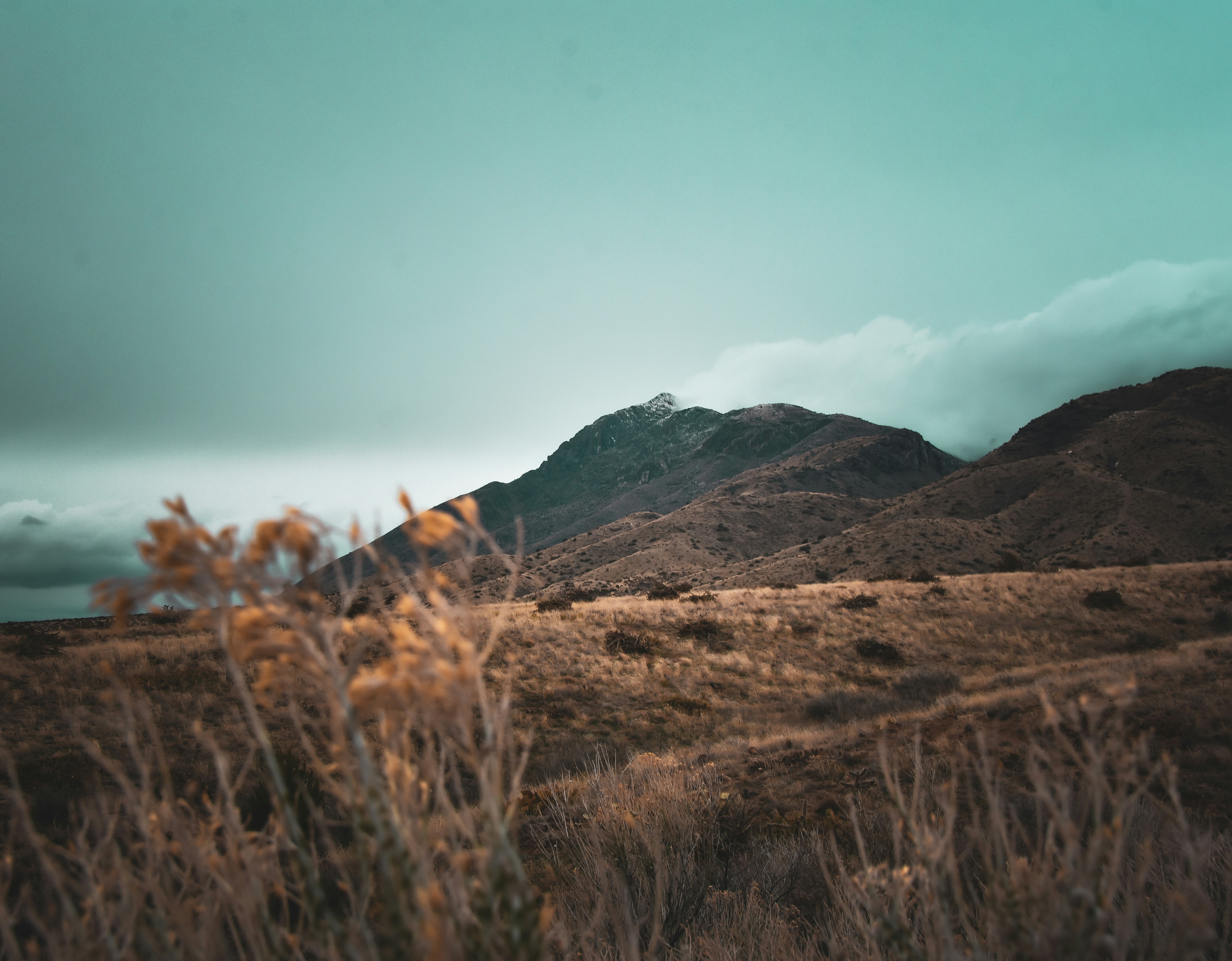 Photo by scottelkins