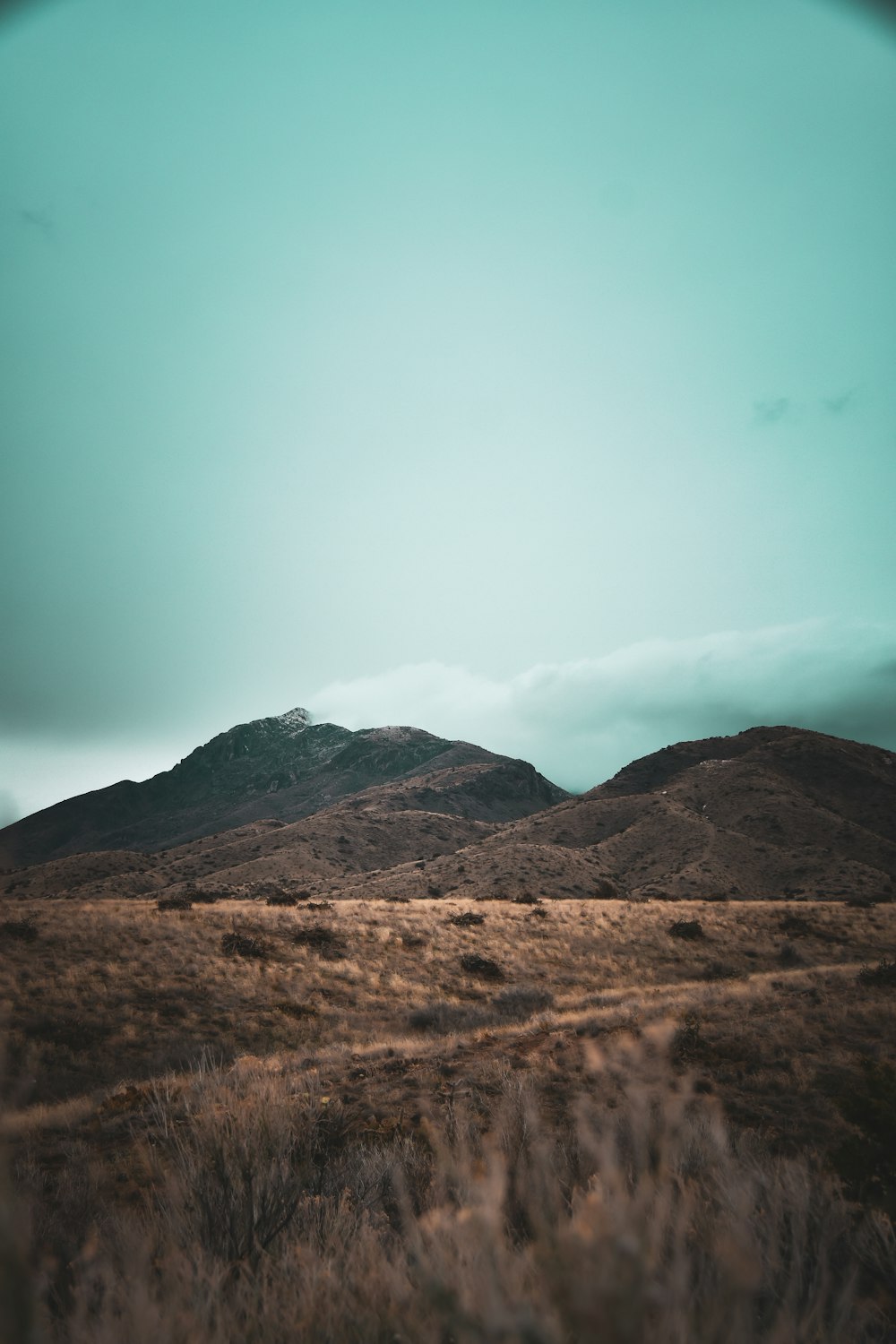 a grassy field with a mountain in the background