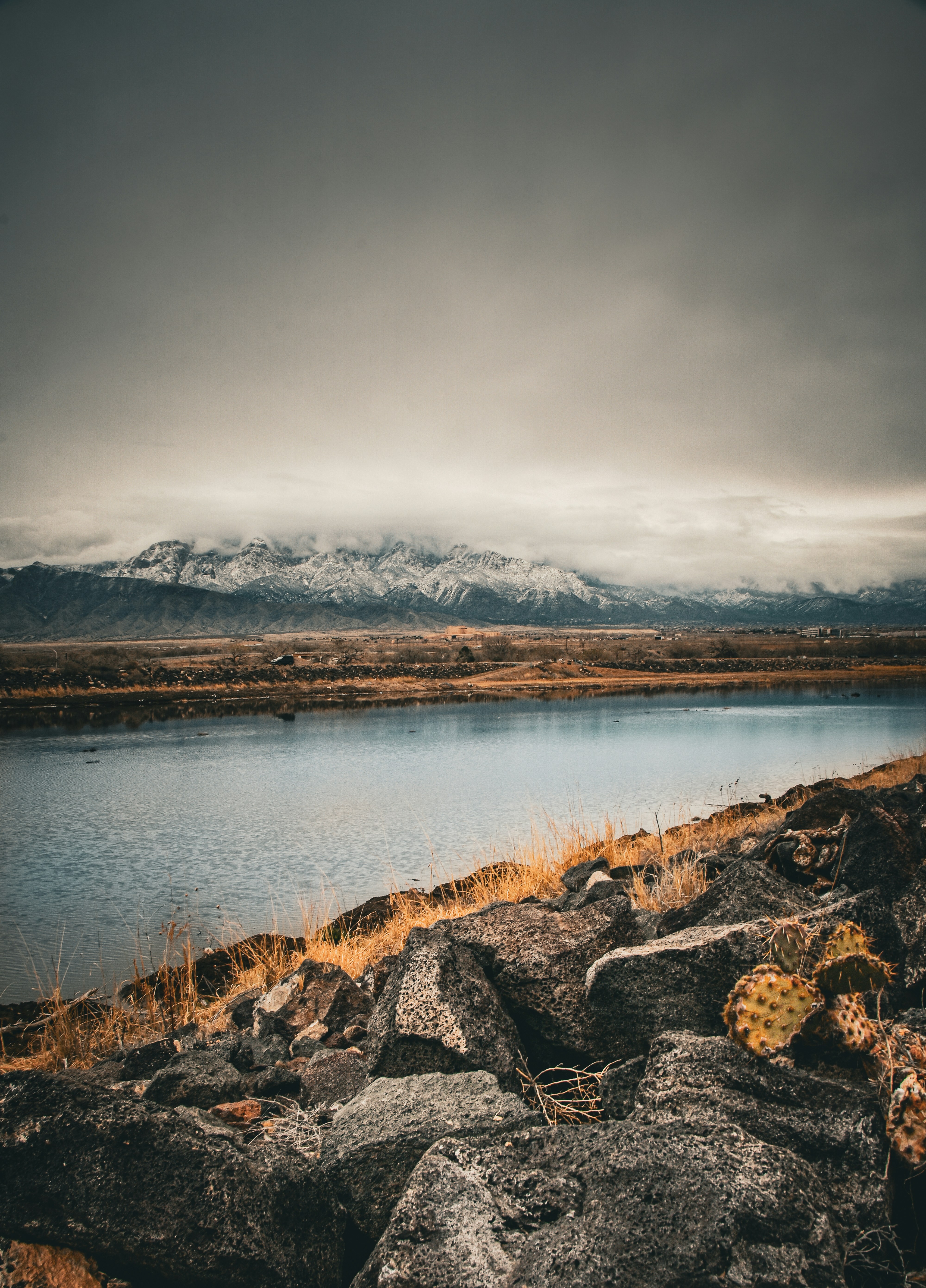 Photo by scottelkins