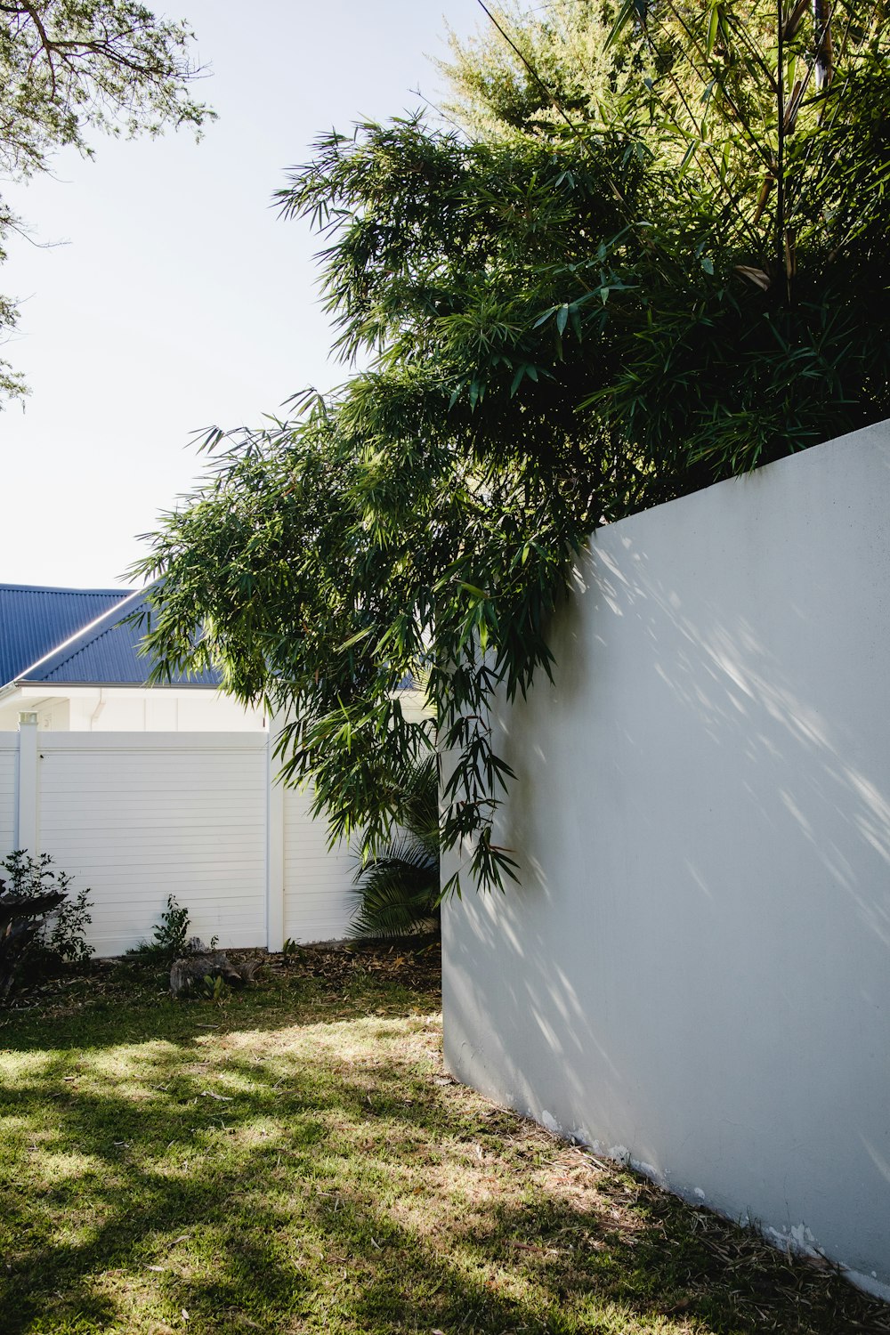 a white fence and a tree in a yard