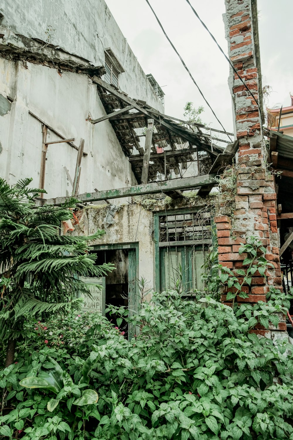 a run down building with lots of plants growing around it