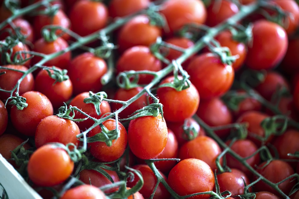 a close up of a bunch of tomatoes