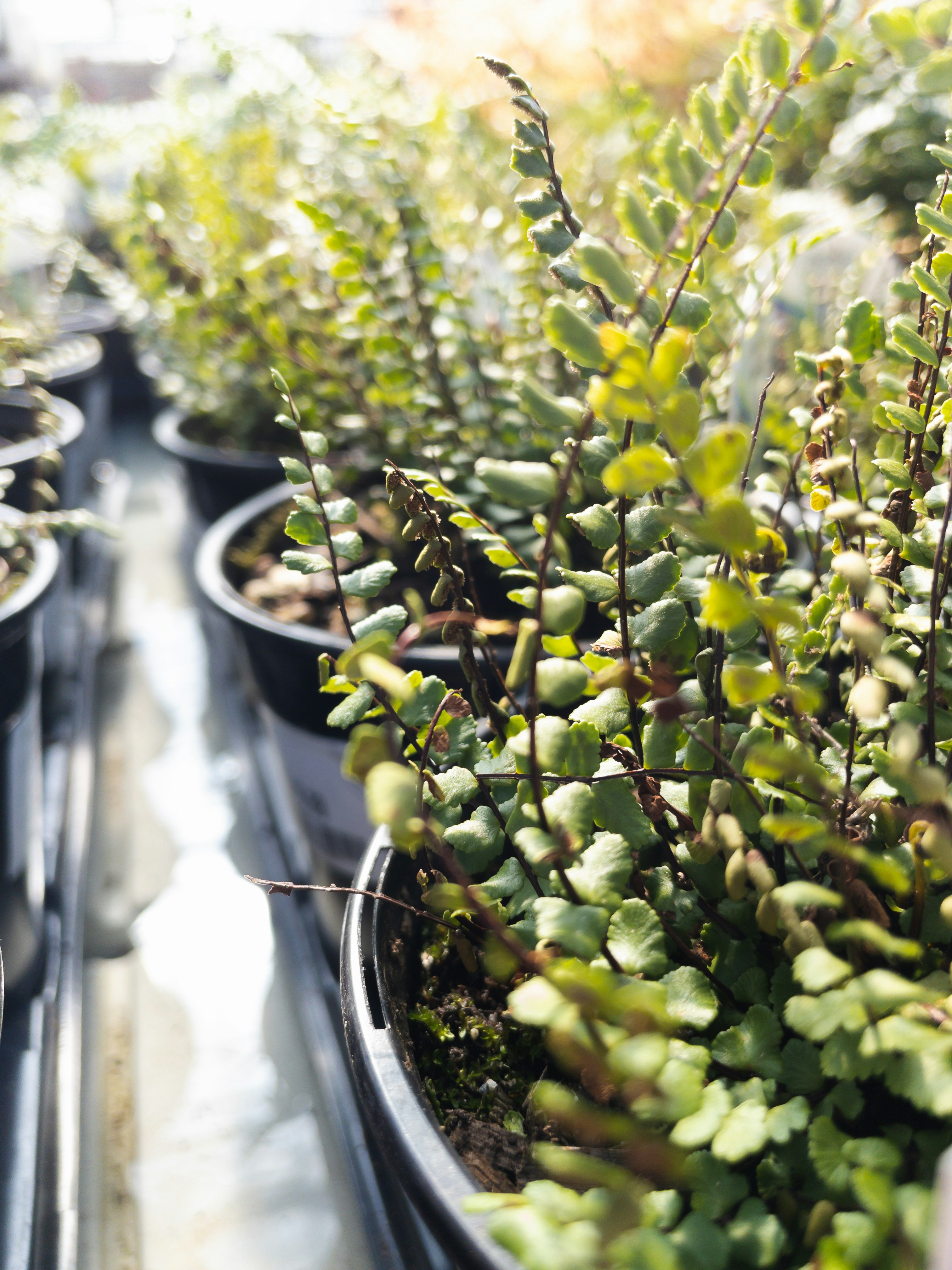 Photo by greg_rosenke