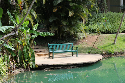 A serene garden corner bathed in soft morning light, featuring lush green plants and a cozy wooden bench.