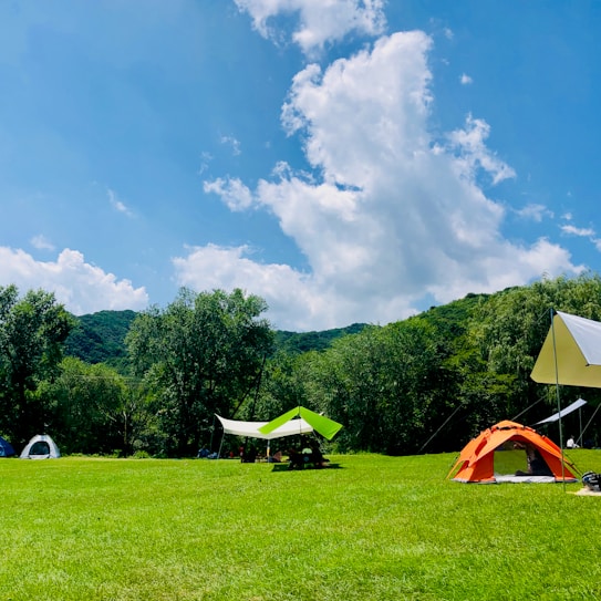 A scenic outdoor setting with a clear blue sky and large, fluffy clouds. Several tents are pitched on a sprawling field of vibrant green grass surrounded by lush green trees and distant hills.