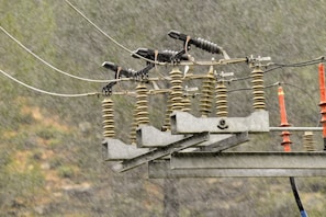 a bunch of wires that are on top of a pole