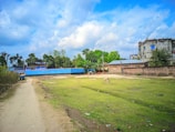 A rural landscape with a dirt path leading through a grassy area. A single cow grazes on the grass, while trees and shrubs line the perimeter. In the background, several buildings with brick and cement construction are visible under a partly cloudy sky. One building has a blue and pink exterior wall that stands out vividly.