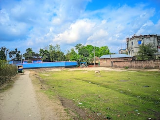 A rural landscape with a dirt path leading through a grassy area. A single cow grazes on the grass, while trees and shrubs line the perimeter. In the background, several buildings with brick and cement construction are visible under a partly cloudy sky. One building has a blue and pink exterior wall that stands out vividly.