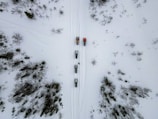 Two snowmobiles are traveling through a snowy landscape, leaving parallel tracks behind. The ground is covered with snow, dotted with sparse vegetation and small bushes. The riders are wearing bright clothing, which stands out against the white snow.