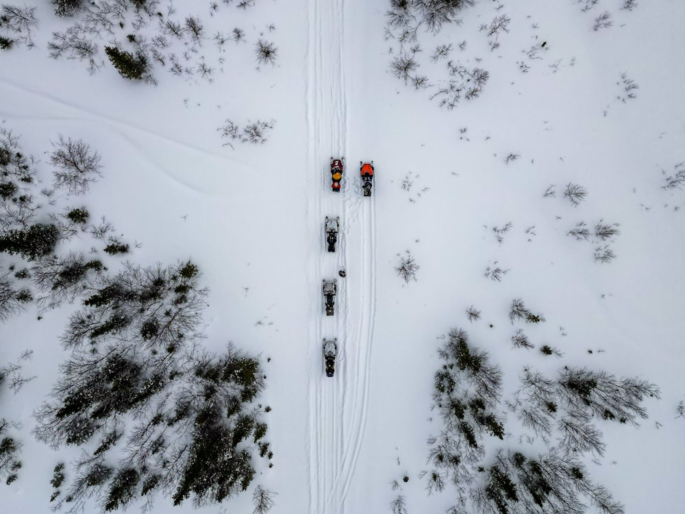 a train traveling through a snow covered forest