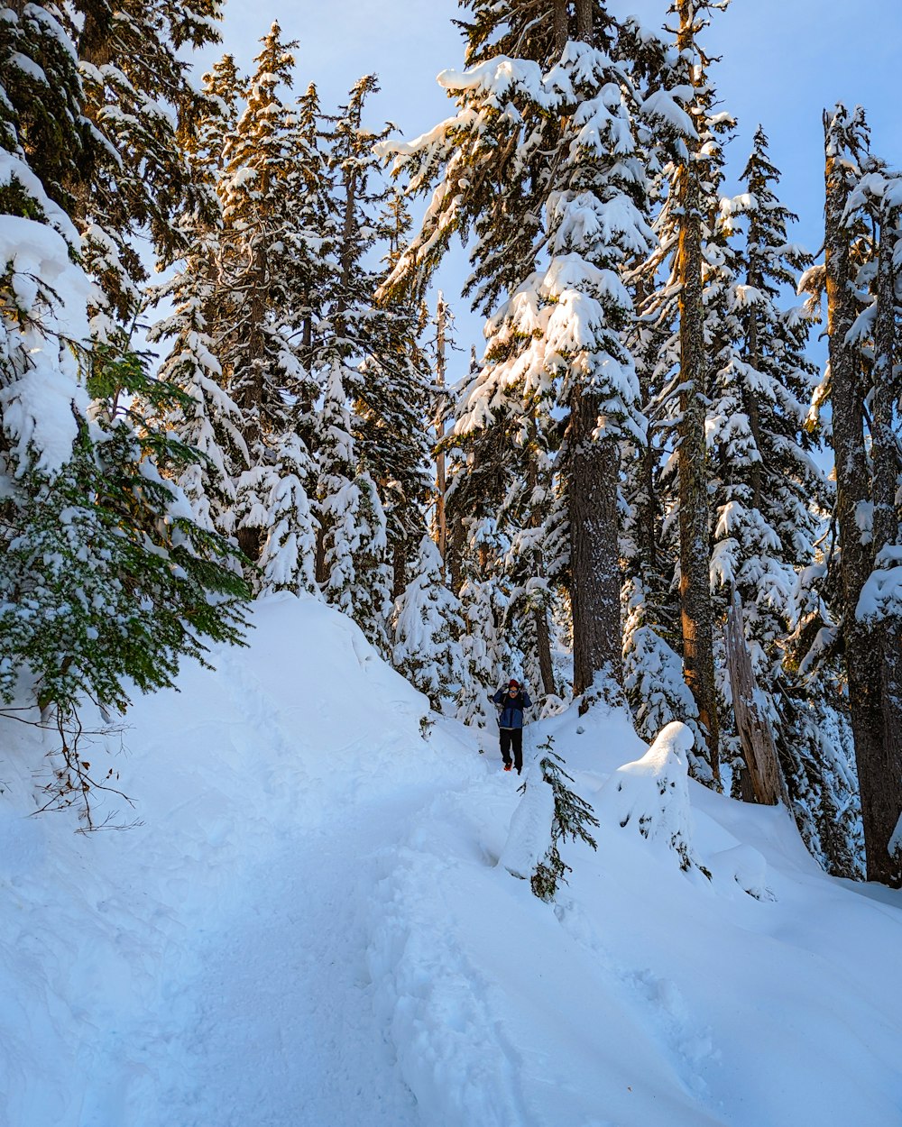 a person walking through a snow covered forest