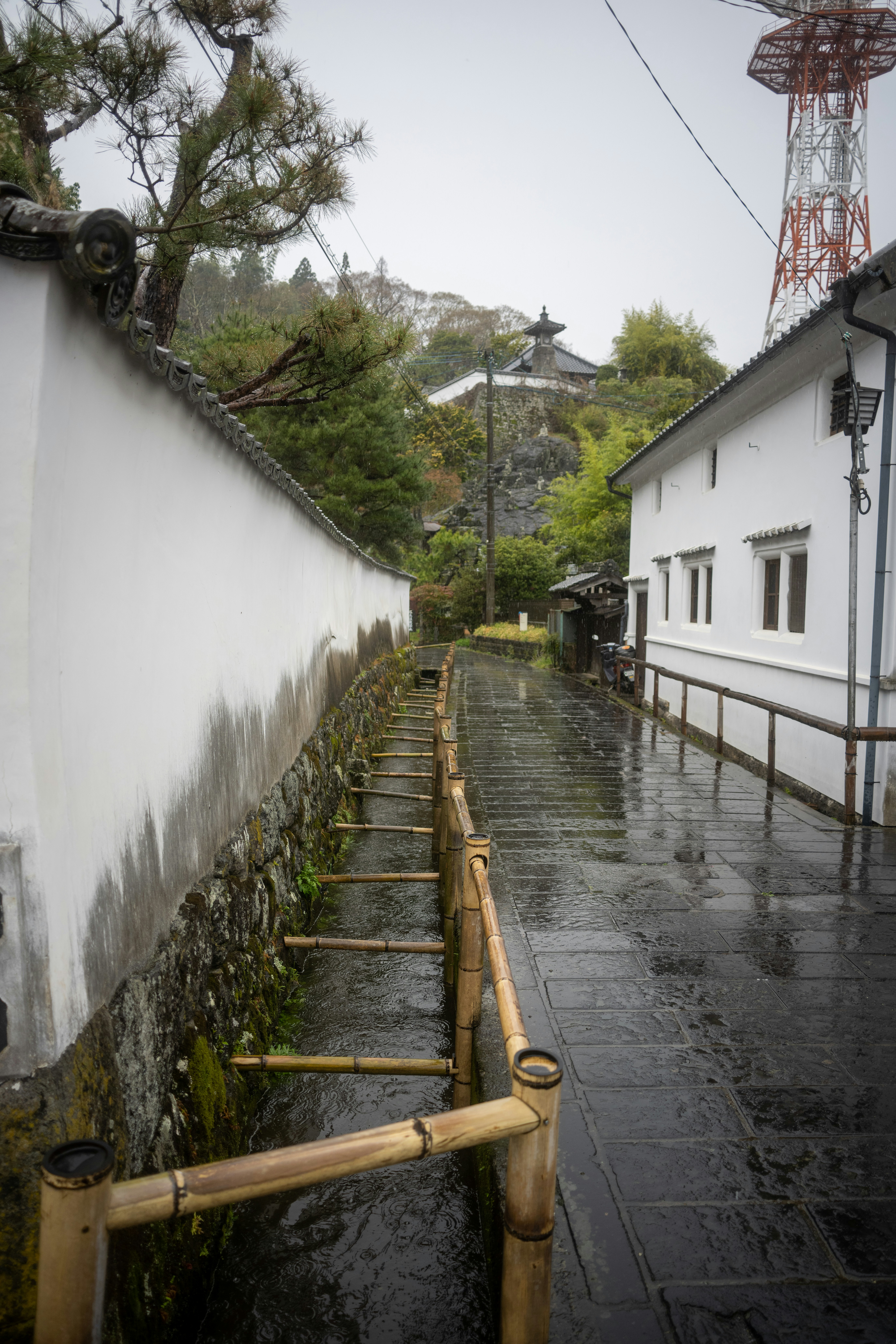 Photo by pafuxu