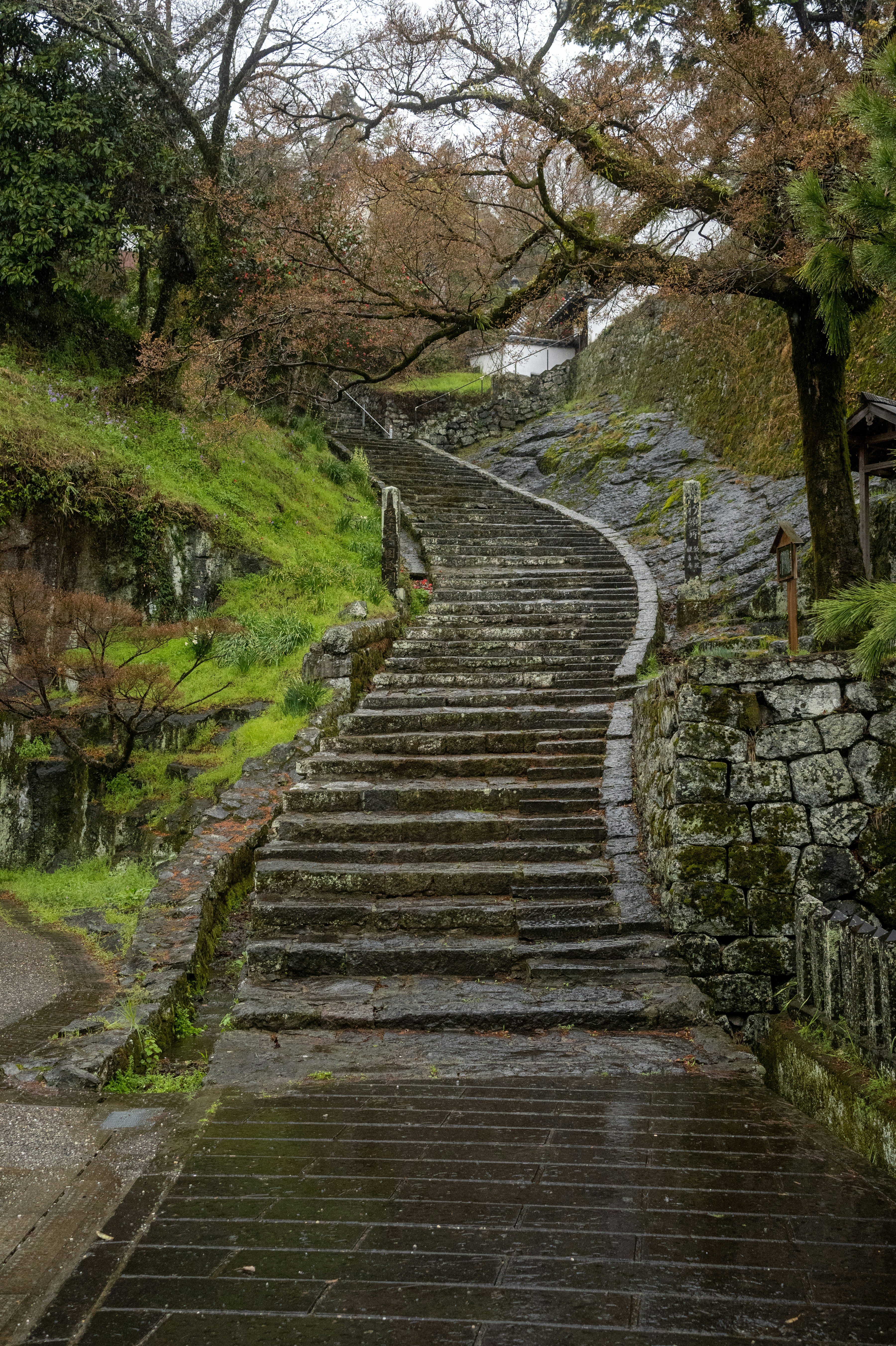 A set of stone steps leading up to a forest photo – Free Path Image on ...