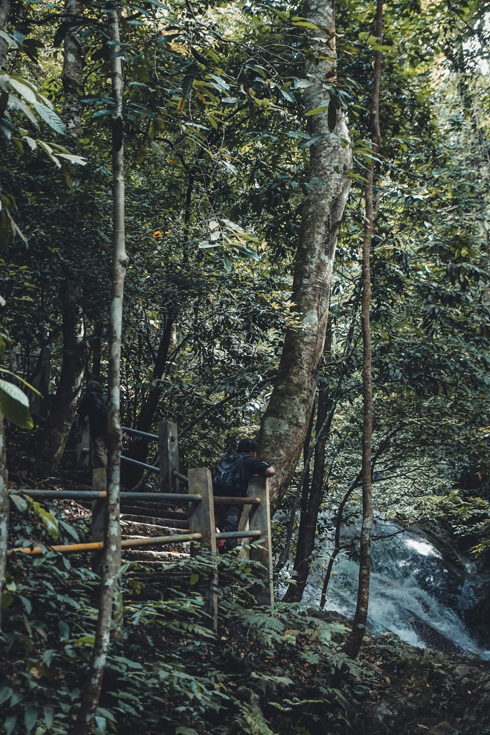 a man standing on a wooden bridge in the woods