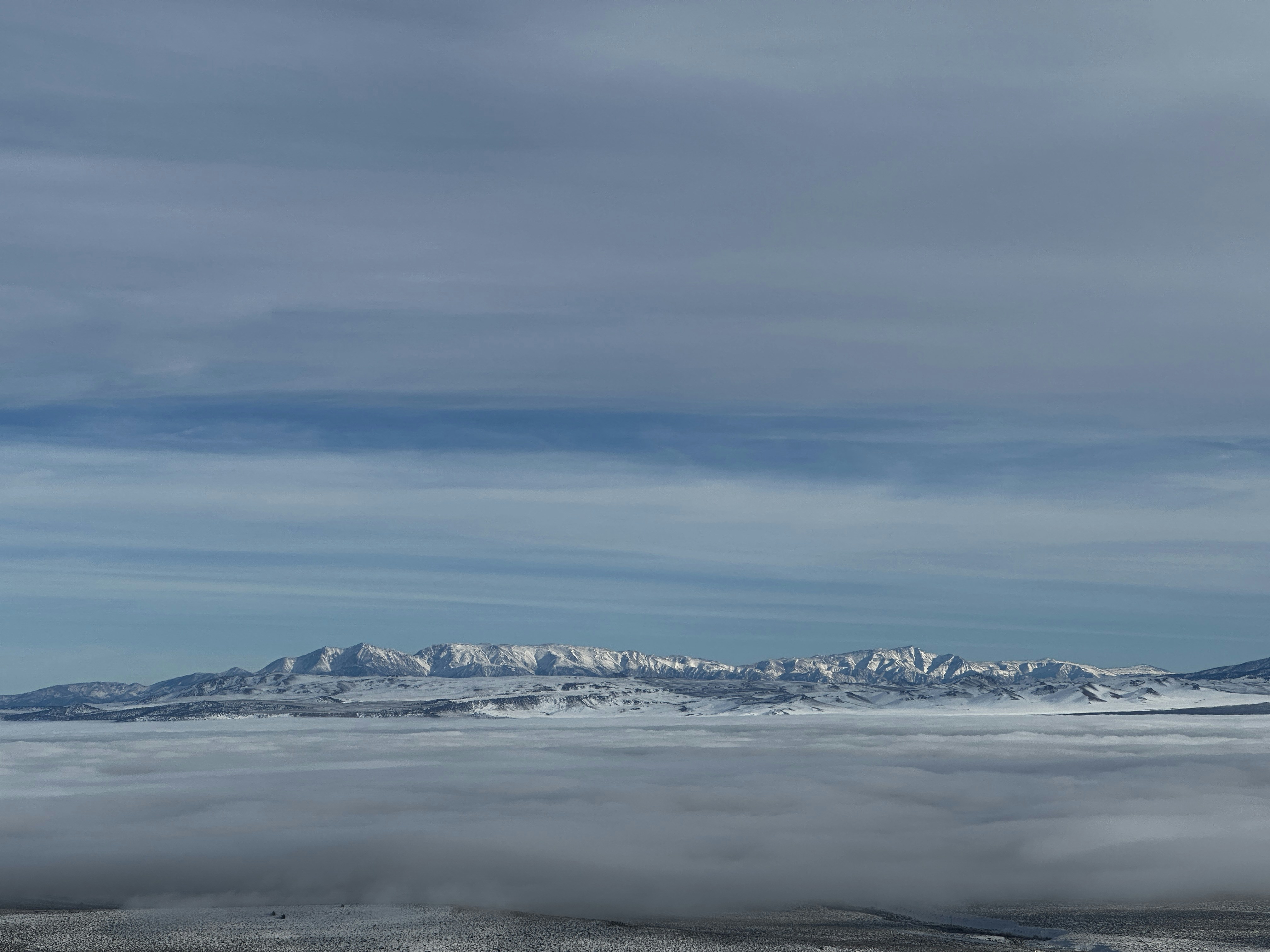 Photo by sharon_dutt