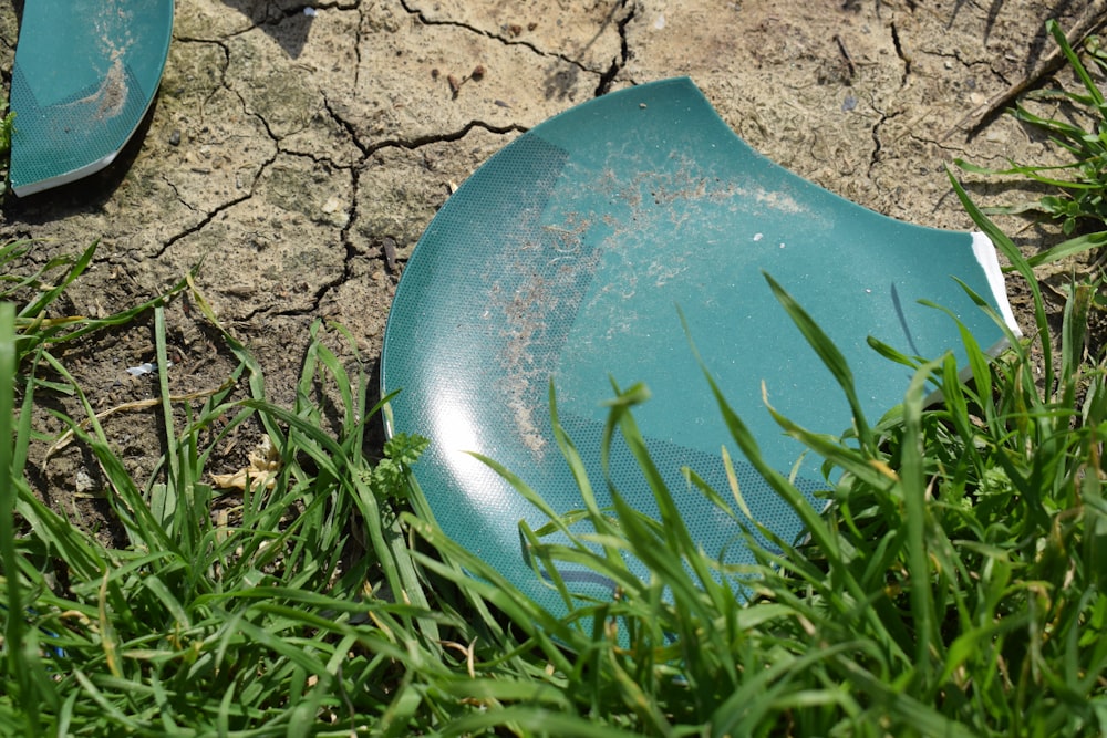 a blue frisbee laying in the grass next to a tree
