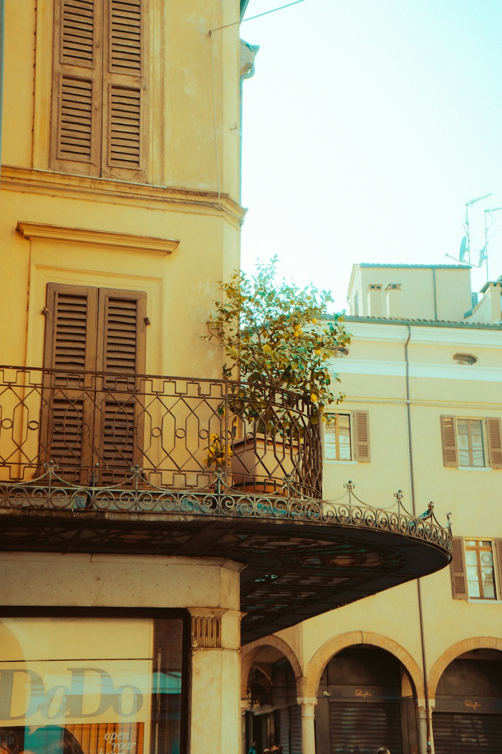 a tall building with a balcony and a tree growing out of it