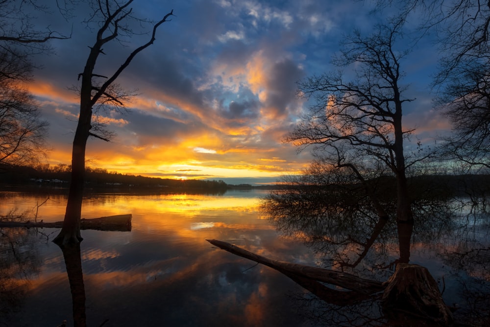 un coucher de soleil sur un lac avec des arbres au premier plan