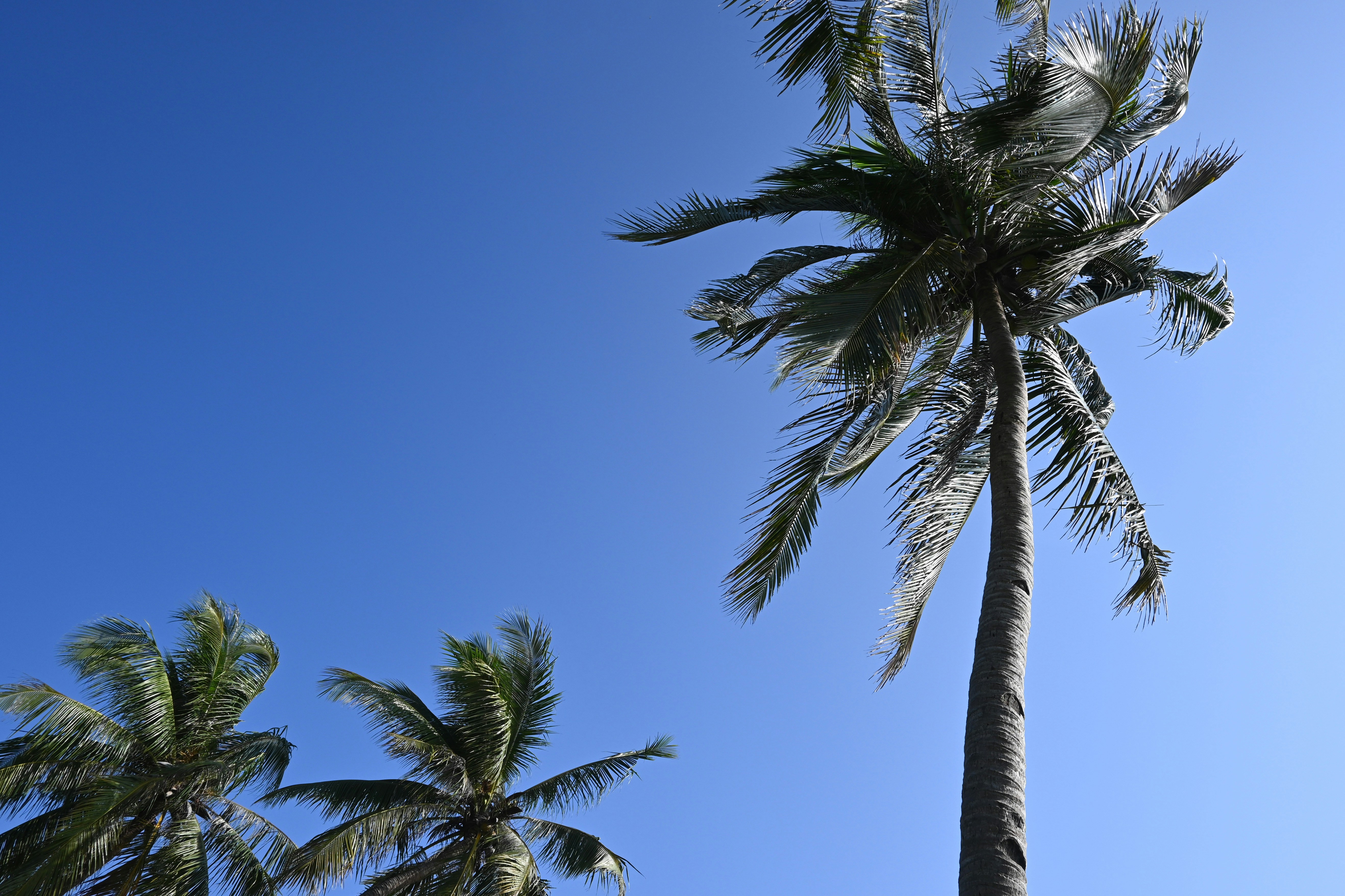 Photo by diannelynne