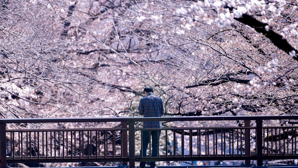a man standing on a bridge looking at the trees