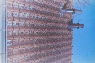 A tiled roof with visible signs of weathering, featuring two prominent chimneys. The sky is clear, and a bare tree branch is visible in the corner.