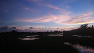 A serene landscape featuring a dark teal sky at dusk.