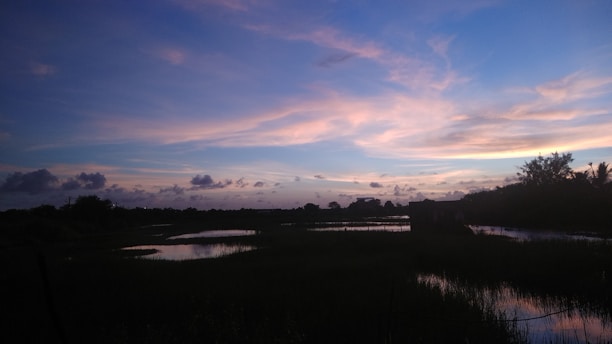 A serene landscape featuring a dark teal sky at dusk.