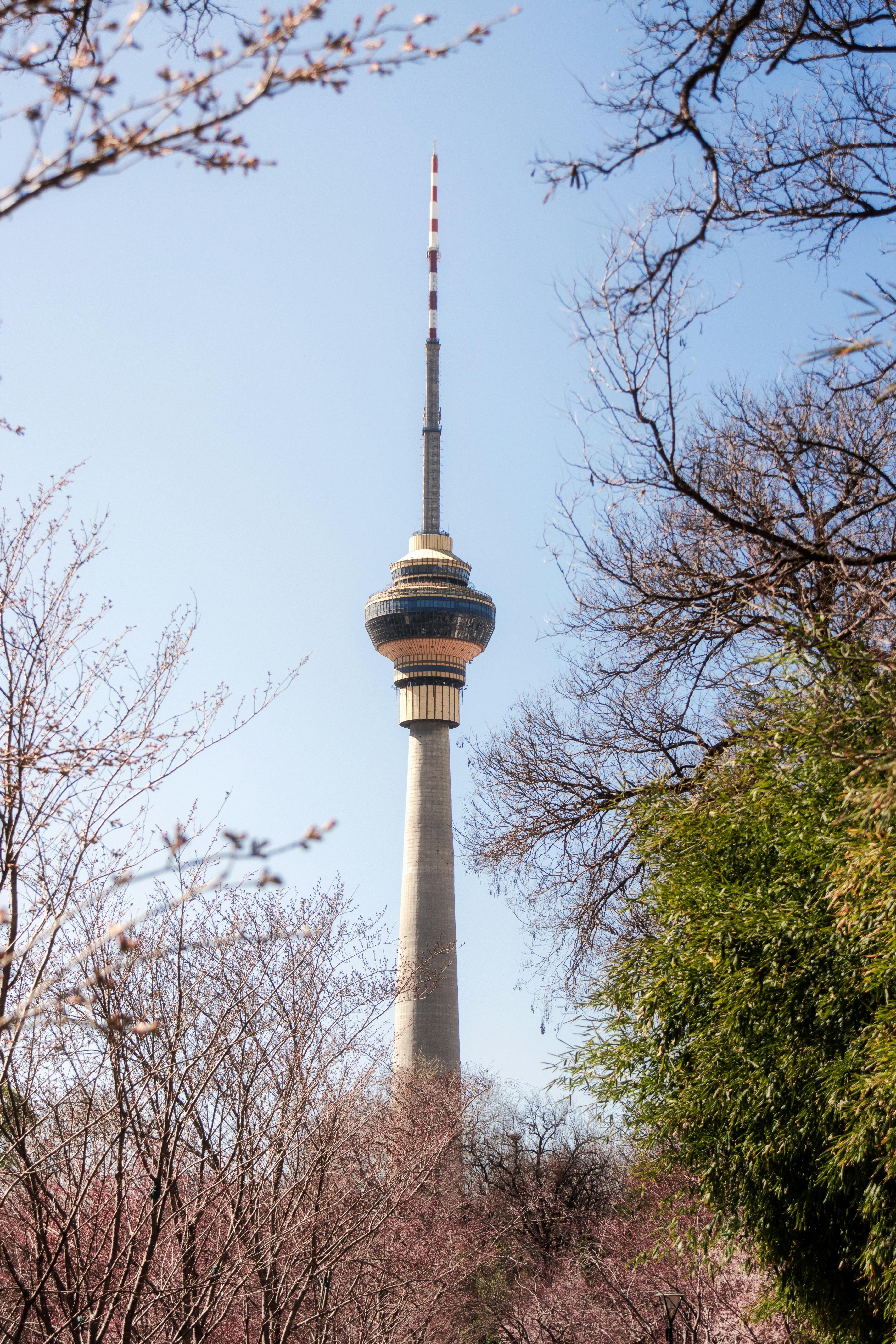 Photo by juliuscarmine