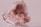A close-up image of a rough, translucent pink mineral with crystalline structures. The stone's surface displays various facets and textures, with light reflecting off its shiny surfaces.